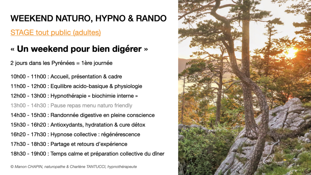 Naturopathie & Hypnose Thérapeutique - Formule WE Digestion 1e jour