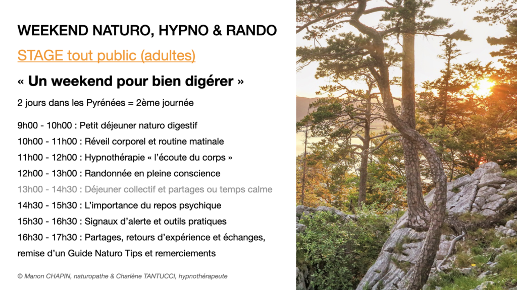 Naturopathie & Hypnose Thérapeutique - Formule WE Digestion 2e jour